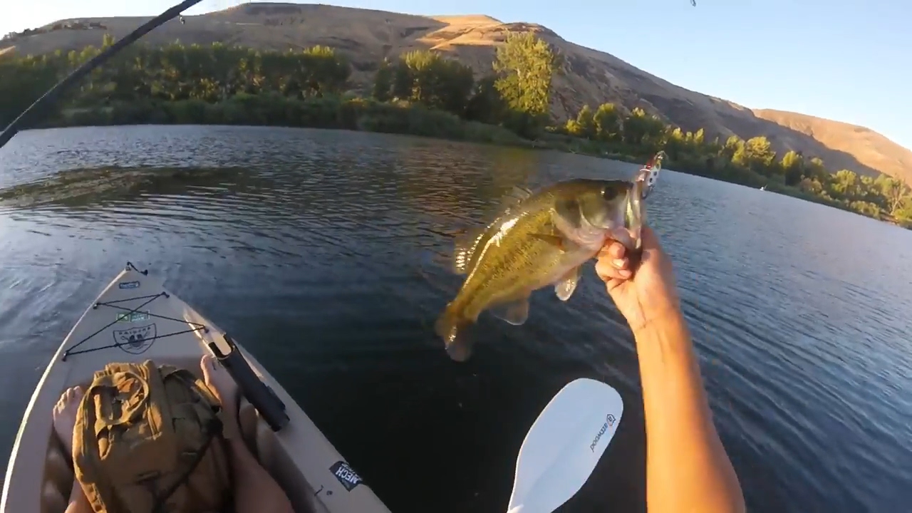 kayak bass fishing rotary lake, short vid. YouTube