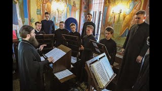 Колядка «Летіли сніжинки» - хор Київської Духовної Академії.