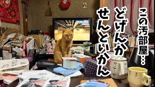 深夜の大片付け Late-Night Clean-Up