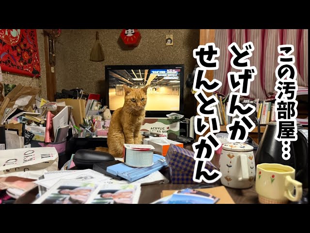 深夜の大片付け　Late-Night Clean-Up