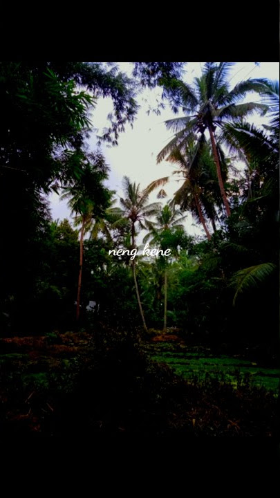 Sepine Wengi | Story' wa 30 detik | Sad Story' ;(