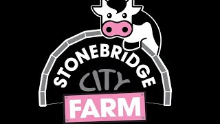 Stonebridge City Farm Nottingham. Zapraszam #BrodaUK
