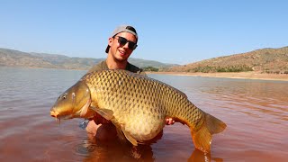 CARP FISHING Bin El Ouidane - Morocco // YOUNG CARP