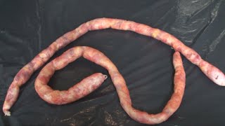 EASY WAY TO MAKE INTESTINES | Caroline Toledo