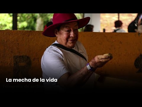 La mecha de la vida | Así narramos Colombia