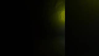 Cavern Diving In Cancun Full Video Posted