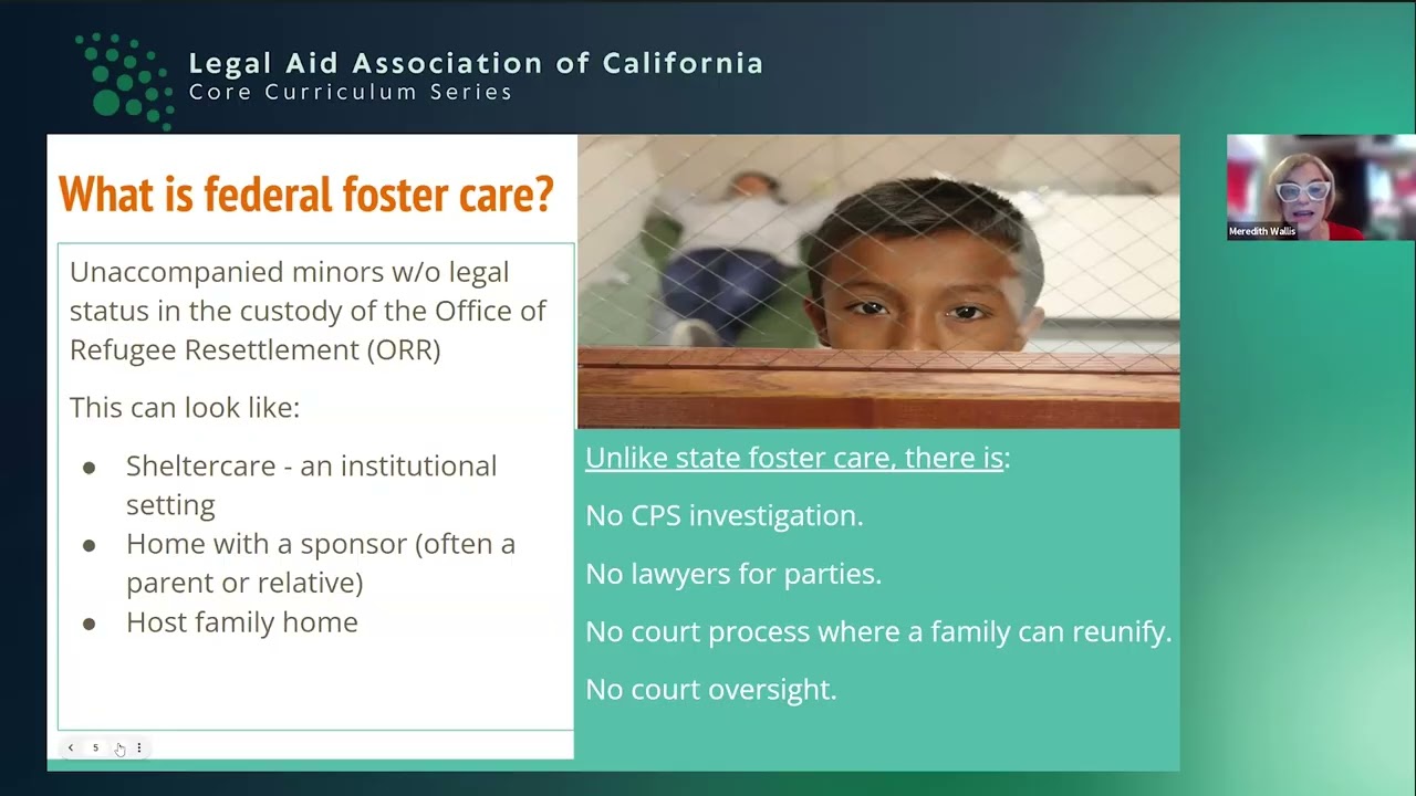 Intersection of Immigration Enforcement & Foster Care