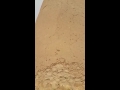 الرياض...منفوحه