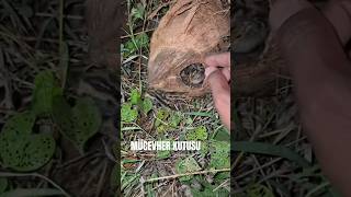 Paha Biçilemez Bir Değer