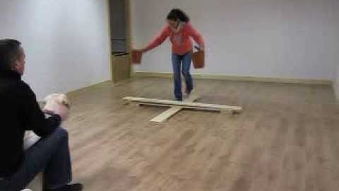 Object permanence visible displacement Video 1