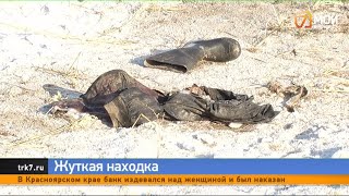Под Красноярском нашли тело мужчины, покусанное собаками