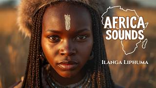 Restore Your Ancient Rhythm  60 Minutes Of Pure Zulu Chill