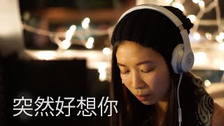 徐佳瑩/五月天 (Lala Hsu/May Day) - 突然好想你 (Suddenly Think of You) Cover by shirL