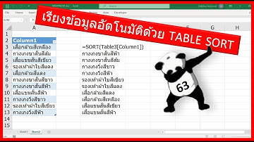 TABLE SORT ช่วยอัพเดทและเรียงลำดับข้อมูลอัตโนมัติ  [Easy Excel EP.63]