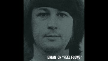 Brian Wilson on "Feel Flows"