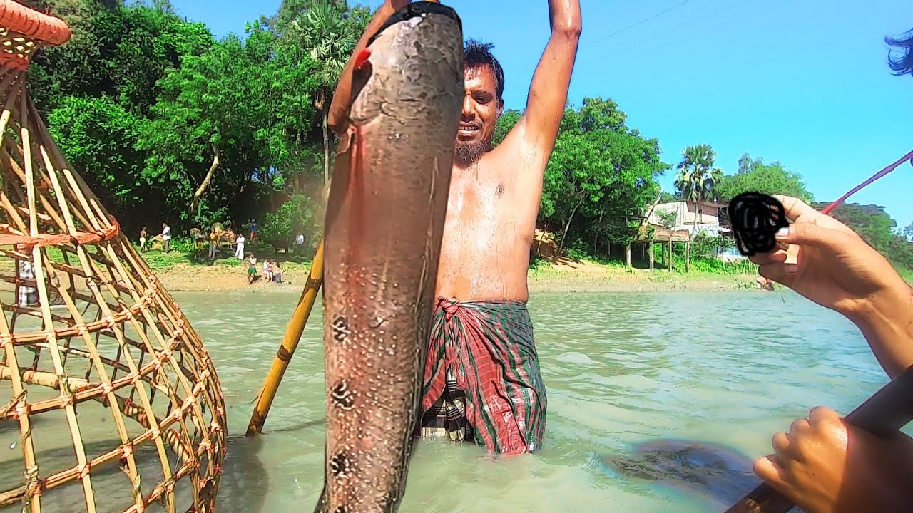 Real Long Rivers In Amazing Big Fishing | Natural Rivers| Amazing Big ...