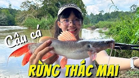 Hành Trình Câu Cá Thượng Nguồn Sông Đồng Nai | Thác Mai | P.1