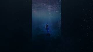 A little of what last weekend looked like 💙 #mermaid #siren #mermaidtail #mermaids #merfolk