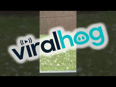 That’s Some Crazy Hail || ViralHog