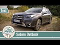 Subaru Outback 2.5i Lineartronic Premium TEST 2021: Najuniverzálnejšie auto vo svojej triede