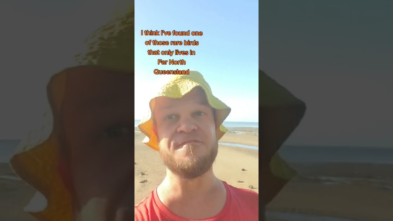 I found the rare North Queensland bird... 