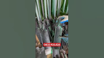 💥THUỔNG ĐI RỪNG THÉP NHÍP Ô TÔ XỊN.lh 0833.925.828