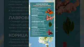 Самые важные специи для здоровья #специи #шортс
