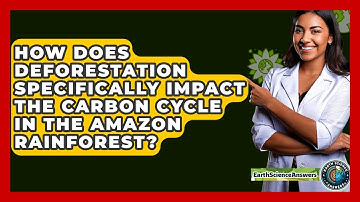 How Does Deforestation Specifically Impact The Carbon Cycle In The Amazon Rainforest?