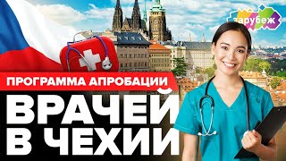 КАК ПРОХОДИТ АПРОБАЦИЯ ВРАЧА В ЧЕХИИ | Программа интеграции врачей от GoStudy