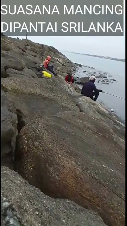 Mancing Hot di pantai Colombo Srilanka #shorts