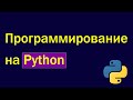 Программирование Python