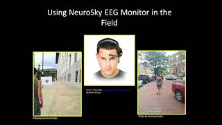 Neuroscience and Society: Buildings and the Brain