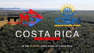 Exploring Costa Rica's Iconic Palm Trees: History, Beauty, and Economic Impact 🌴🇨🇷