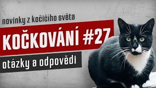 KOČKOVÁNÍ #27  Stream: otázky a odpovědi