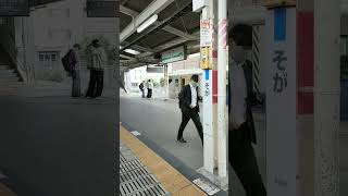 新宿わかしお号 E257系5両 蘇我到着 下り臨時列車 2023.10.08(日) 8:14