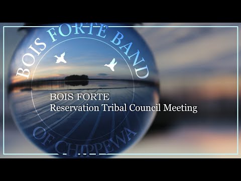 bois-forte-rtc-meeting---june-