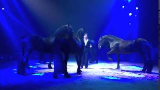Circus Knie 2016 Pferde