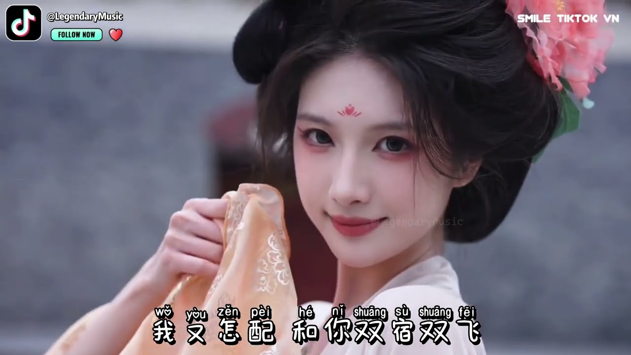 莫叫姐姐 - 孤独的终点 (抖音热播DJ版) Điểm Cuối Cô Đơn『手里的鲜花 都已经枯萎，说过的柔情 都被风捻碎，没成为最后 你选的那位』抖音火流行歌曲推荐TikTok『动态歌词MV』