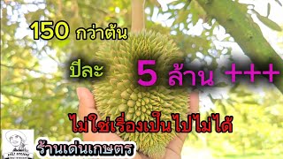 ทุเรียน150กว่าต้นปีละ 5 ล้าน++ ไม่ใช่เรื่องเป็นไปไม่ได้