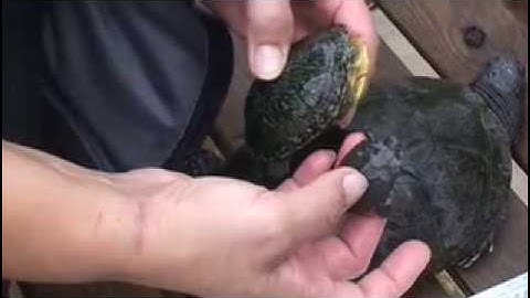 Middle school creates habitat for Blanding