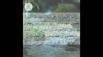 سورة البقرة  الشيخ محمد الفقيه  #forupage #اكسبلور #تيك_توك #peace #دويتو #love #quran #beautiful