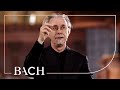 Van Veldhoven on Bach Cantata BWV 146 | Netherlands Bach Society