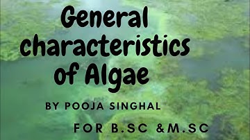 General characteristics of Algae || B.sc ,M.sc and other exam