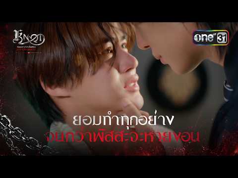 HIGHLIGHT | KNOT | one31
