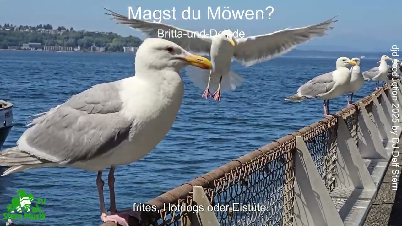 Magst du Möwen - djd production - britta und delf de