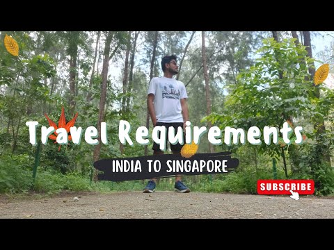 India to Singapore 2022 | Travel Requirements and Guide | First Solo Trip