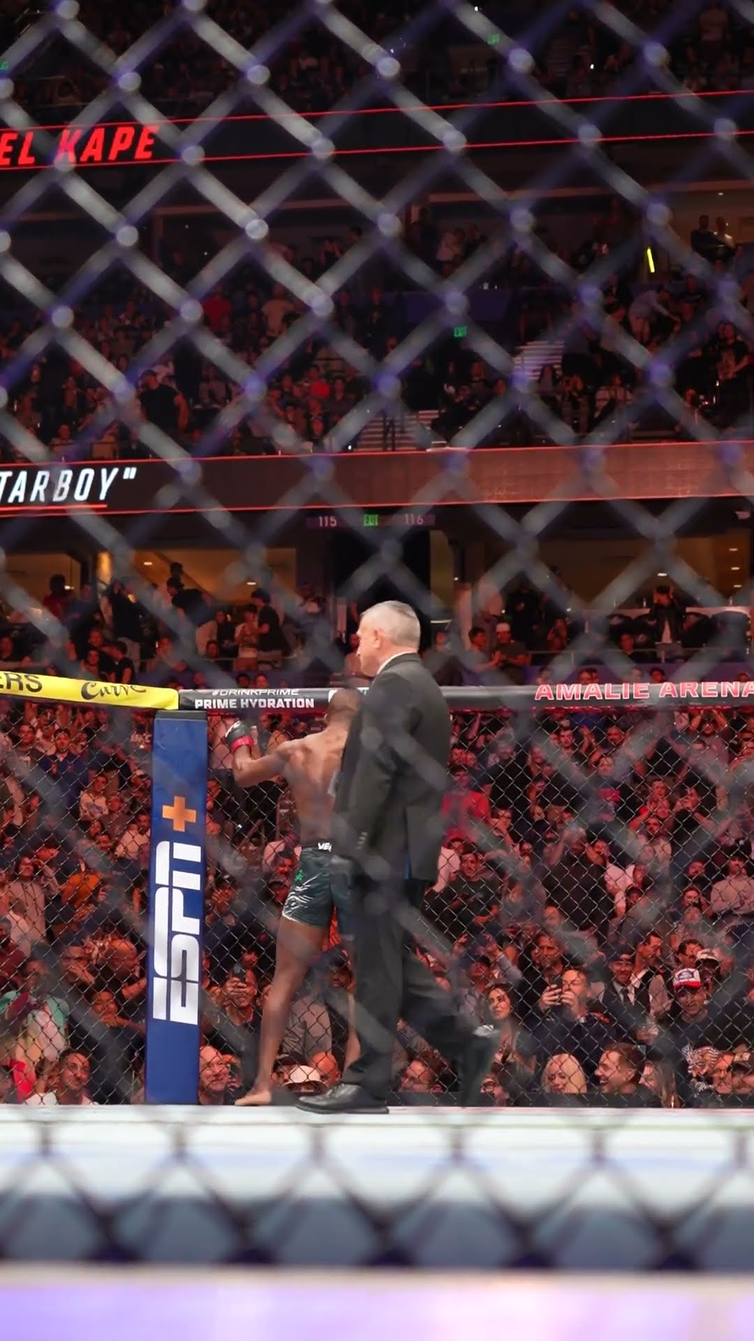 Manel Kape KO! ? #ufctampa