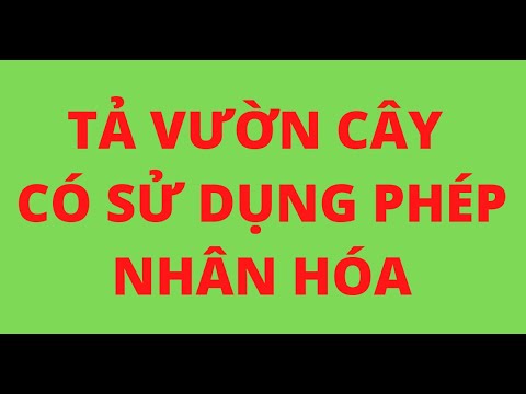 Video TẢ VƯỜN CÂY CÓ SỬ DỤNG PHÉP NHÂN HÓA - youtube
