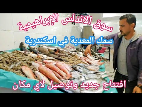 إسكندرية سوق الاندلس محلات سمك المعدية في الابراهيمية والتوصيل