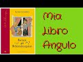 #LibroAngulo 51 • La strato ĉe la Brufarantoj